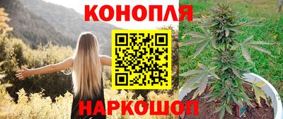 apvp Кимры