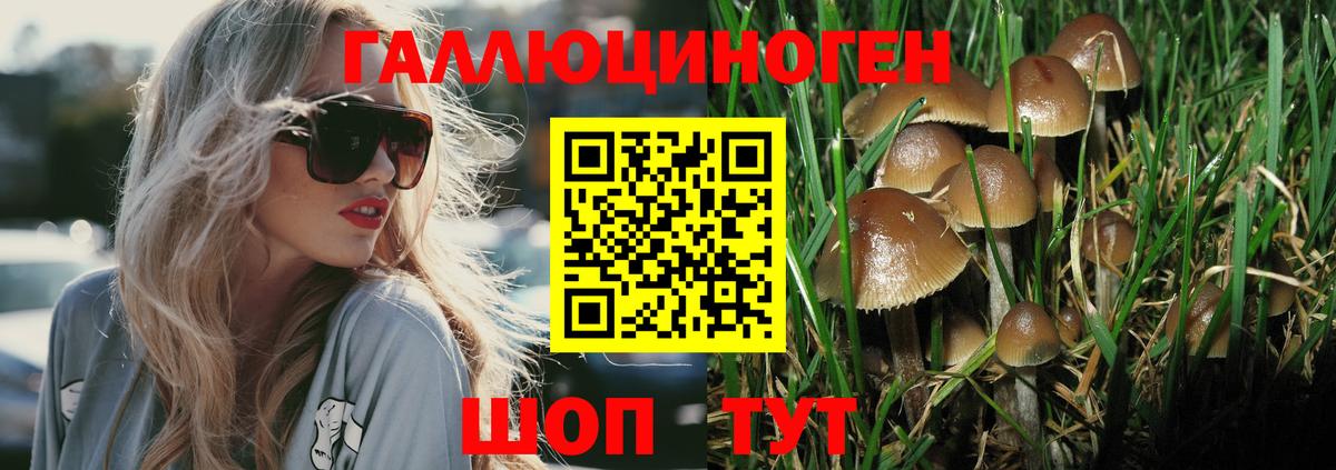 Псилоцибиновые грибы Psilocybine cubensis  Вход с VPN  Кубинка 
